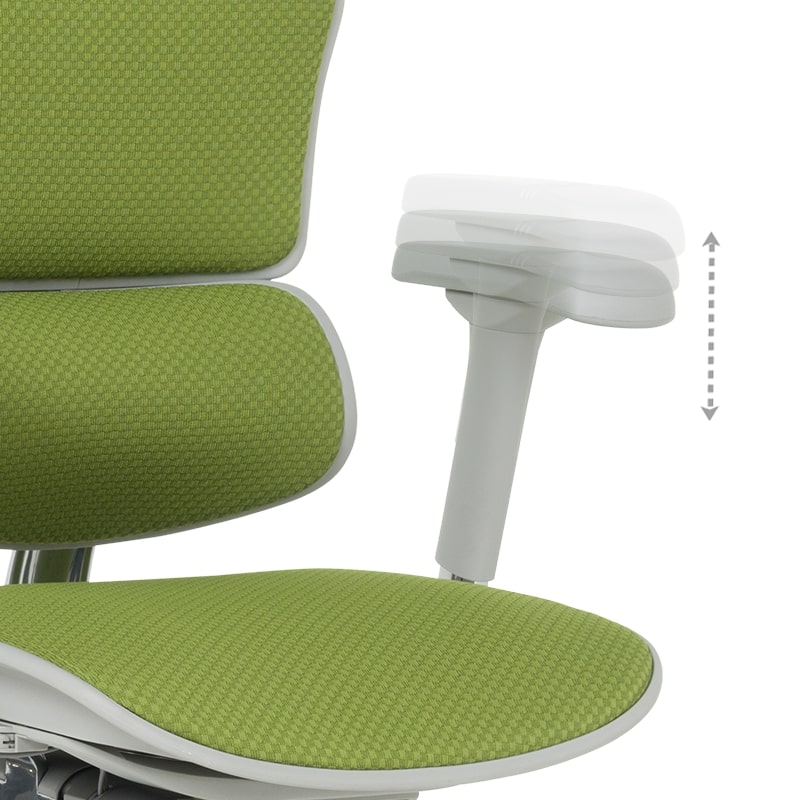 Ергономичен офис стол Ergohuman Elite 2 дамаска зелен-сива рамка